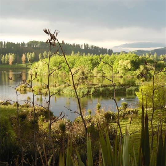 Simply gorgeous views