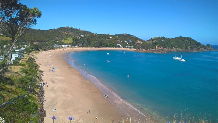 Whangaumu Bay