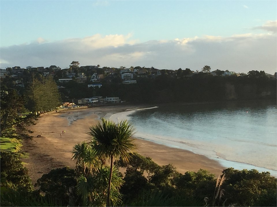 Coastal walkway - Browns Bay beach