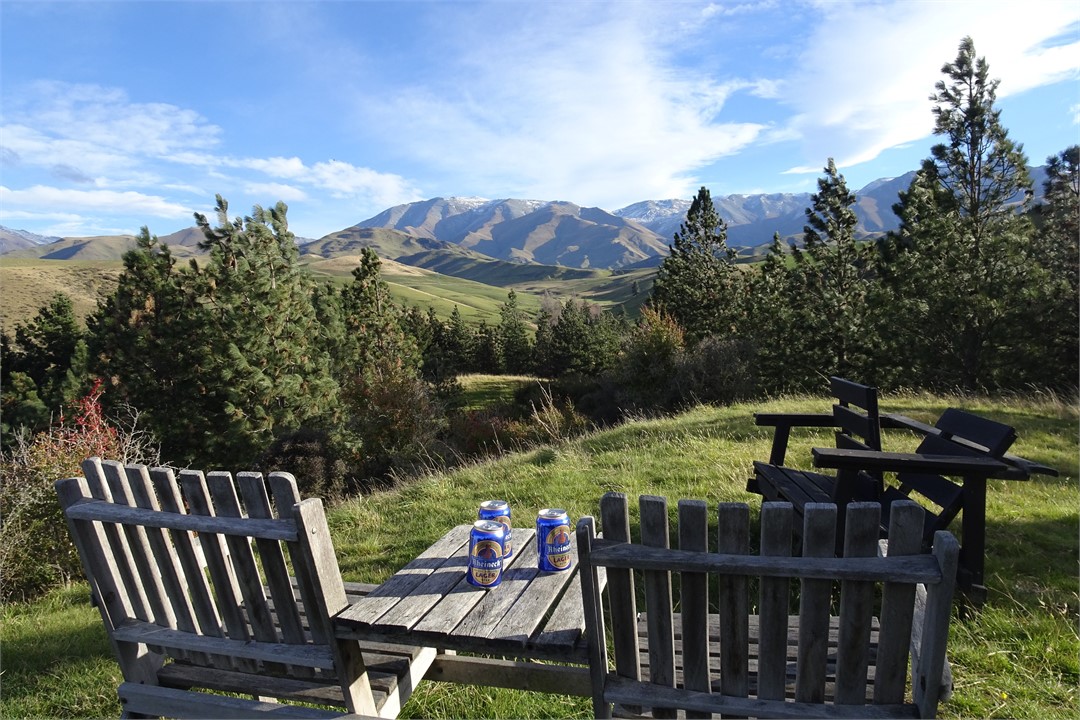 Walk to the top of the forest to find panorama mou