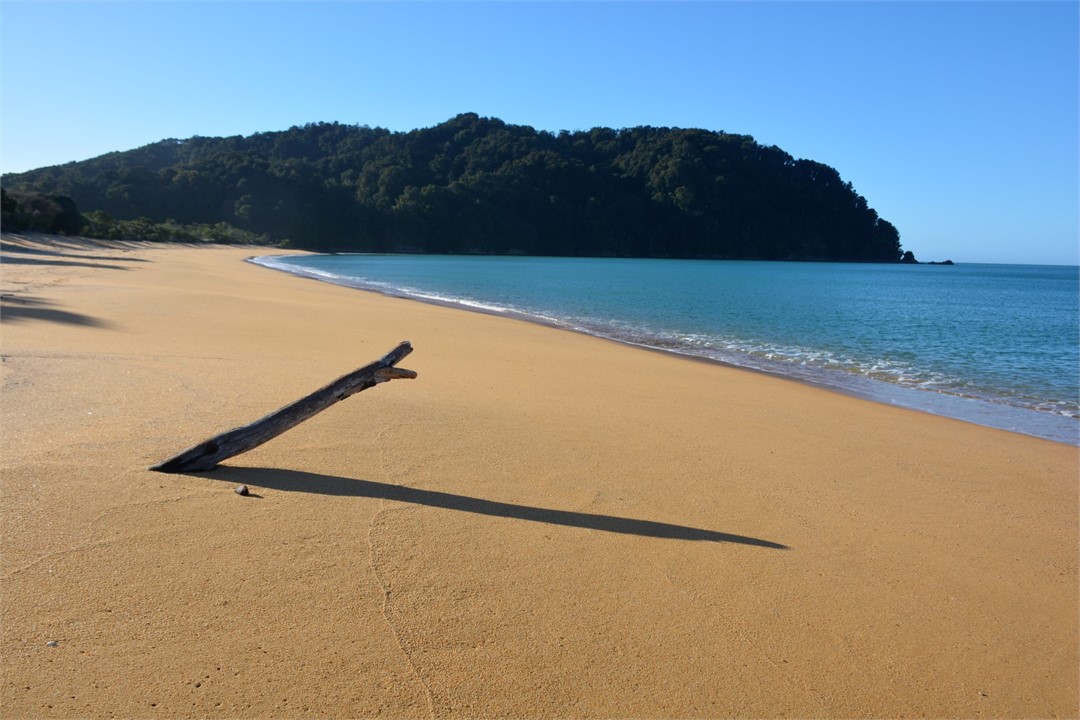 Totaranui Beach