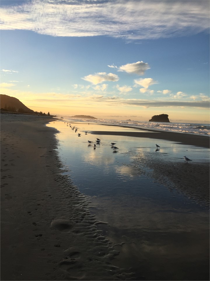 evenings at Mt Maunganui Beach