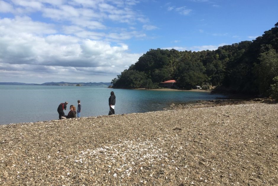 Otakawhe Bay beach, swimming walking tracks
