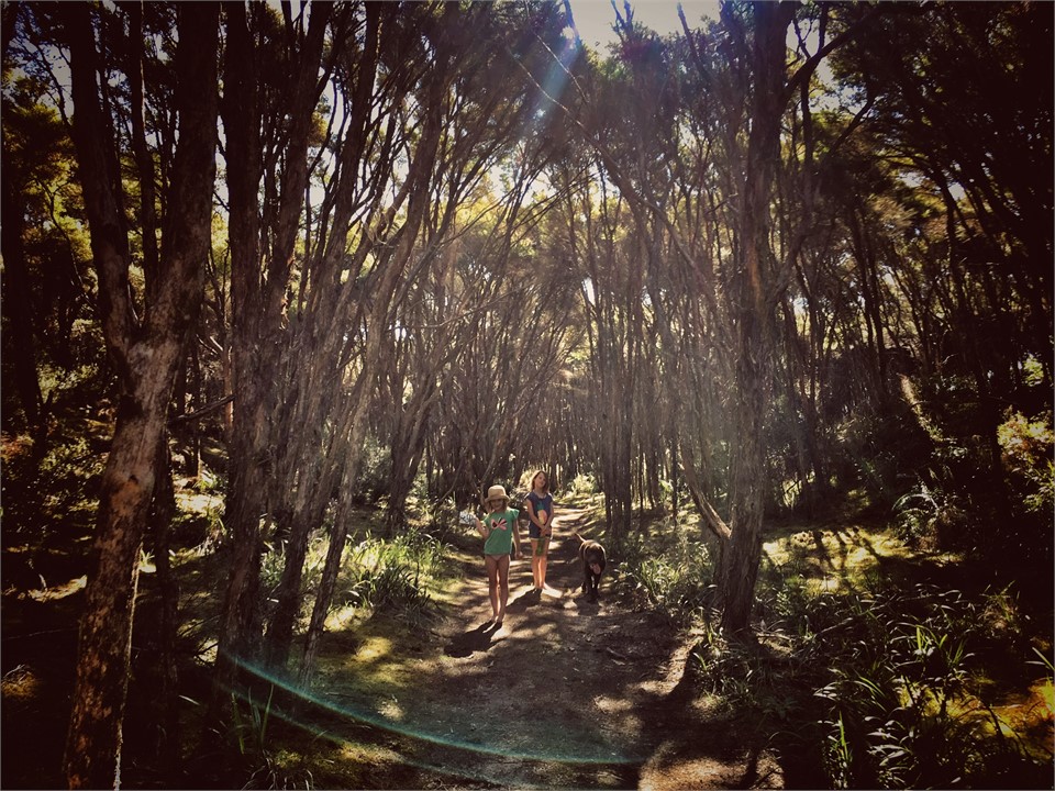 The walk to the beachfront via a 30 second lovely 