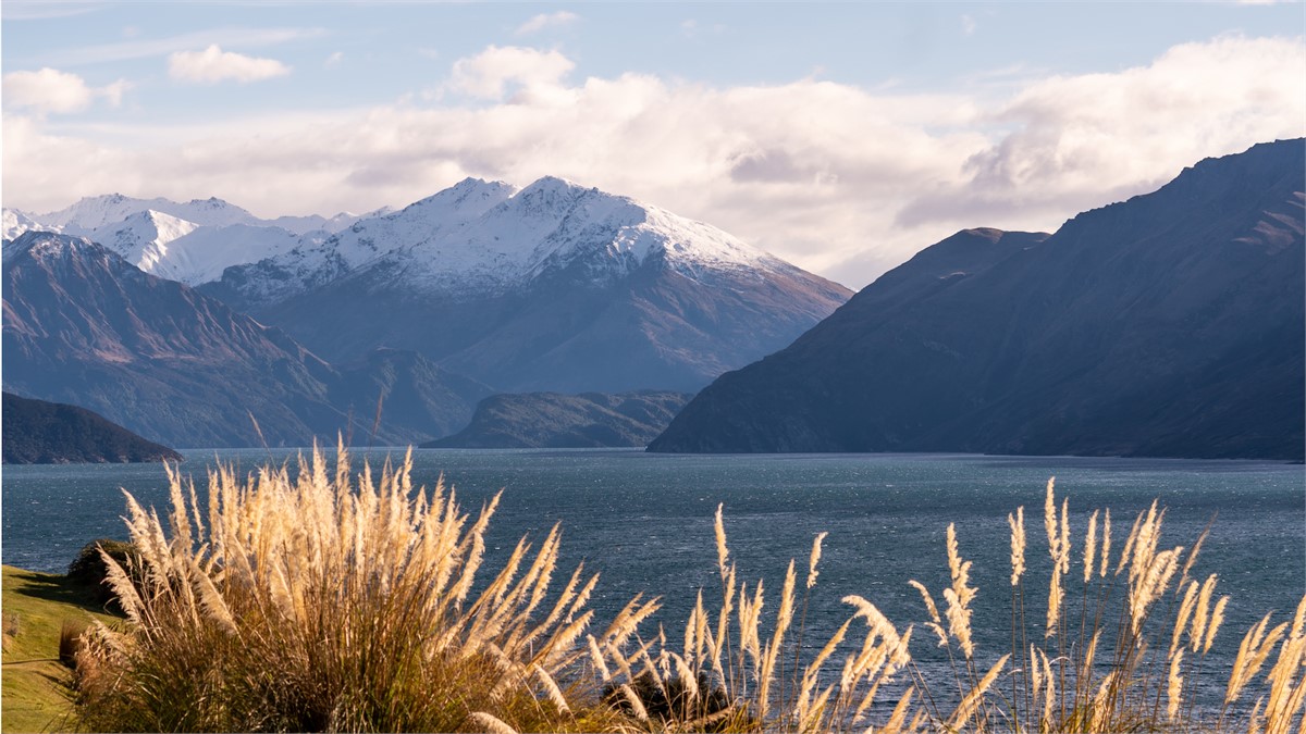 Release Wanaka - Whare Kea