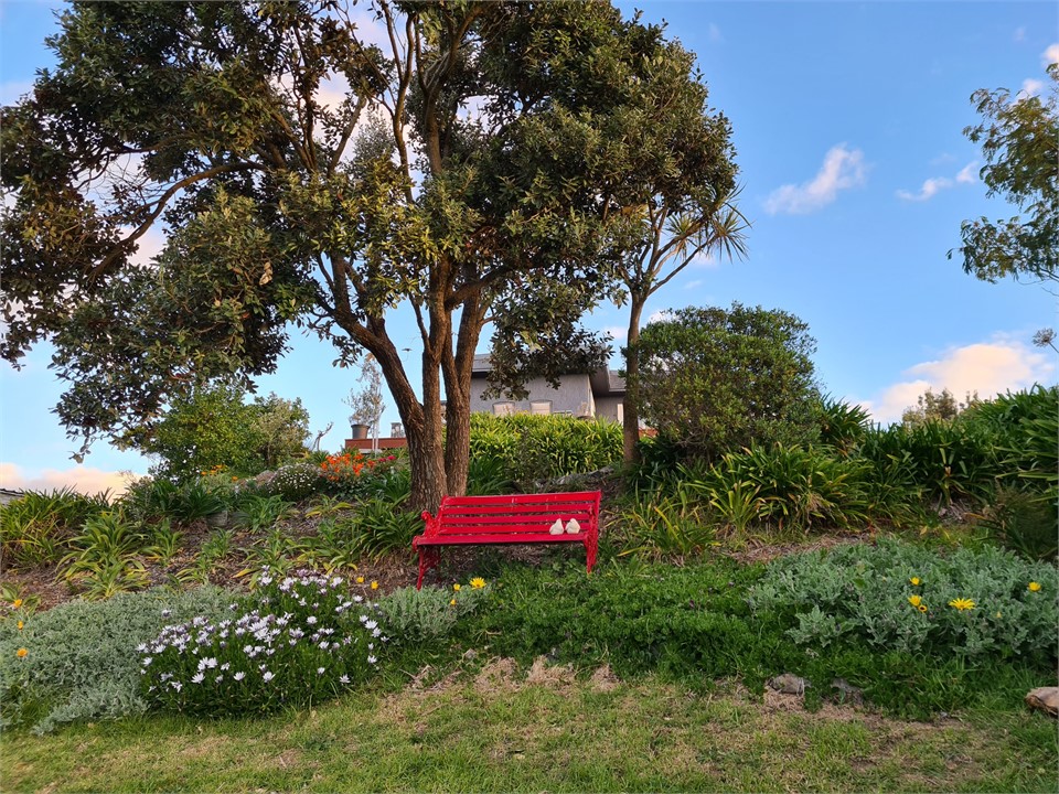 Two doves sitting on a red seat!