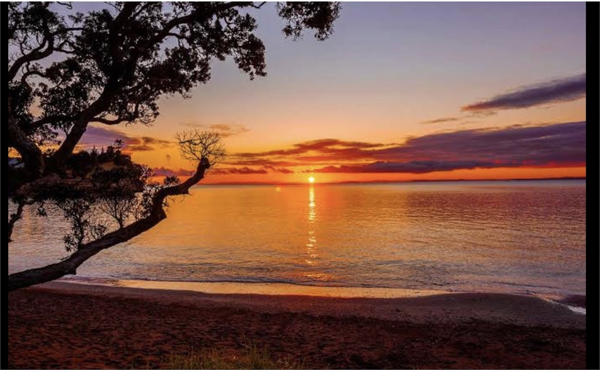 Little manly by night