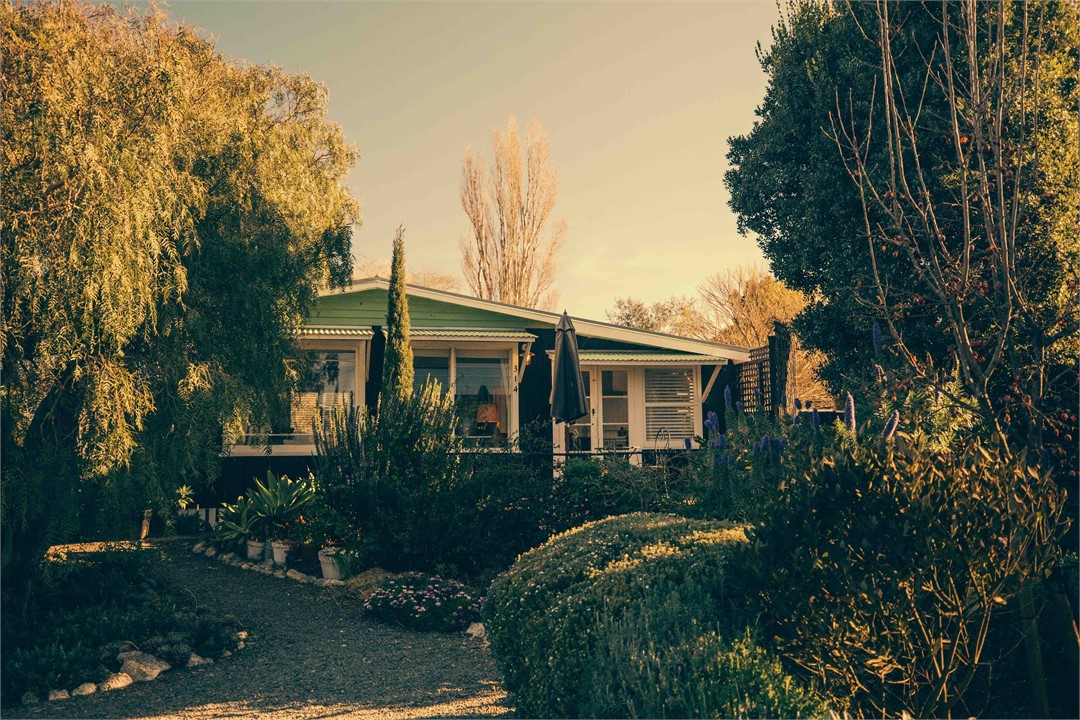 Cottage front garden
