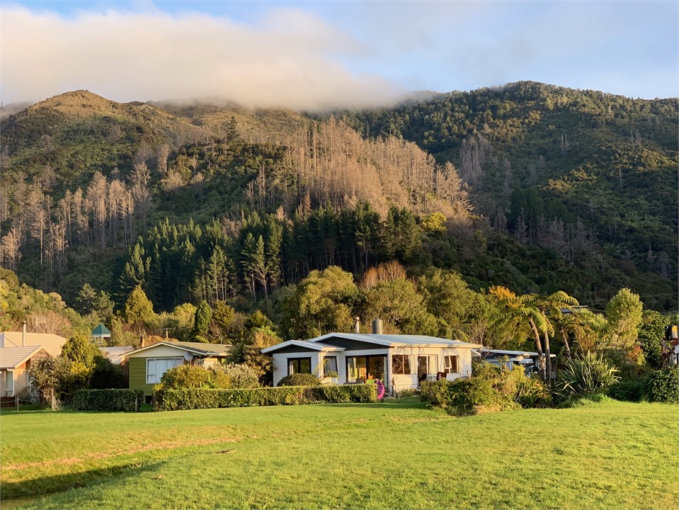 View from the Ngakuta bay foreshore/reserve