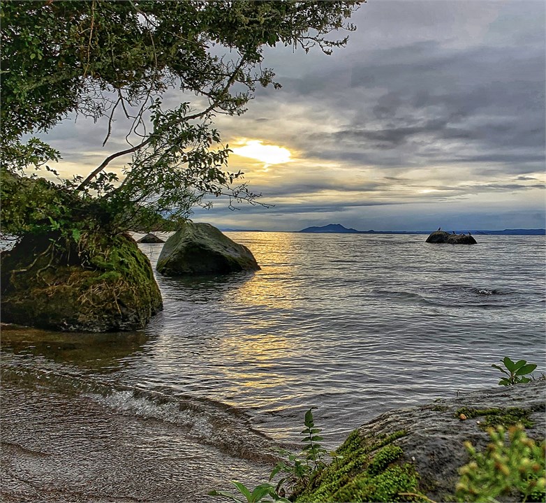 Pukawa Bay, a nice bush walk or quick drive, just 