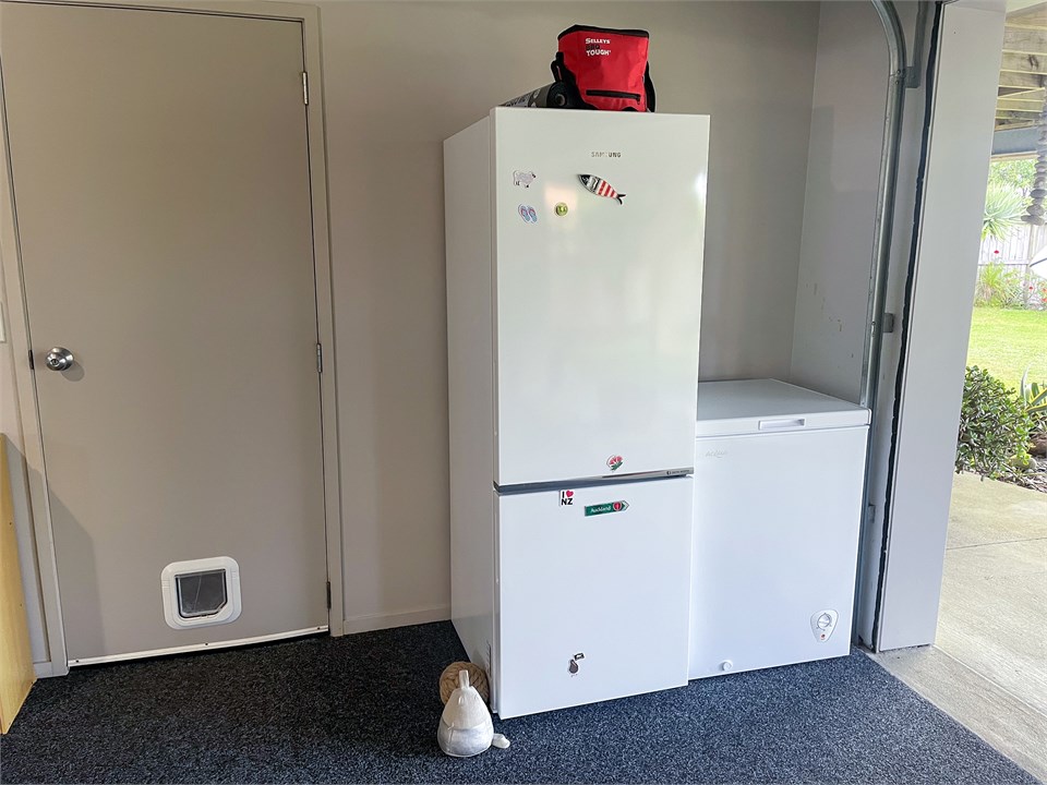 Downstairs fridge/freezer