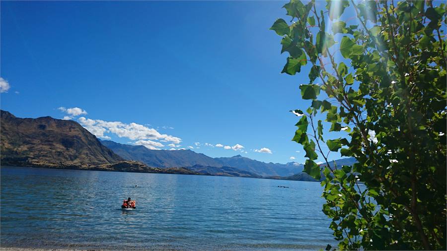 Beautiful Lake Wanaka - Summer book December - end