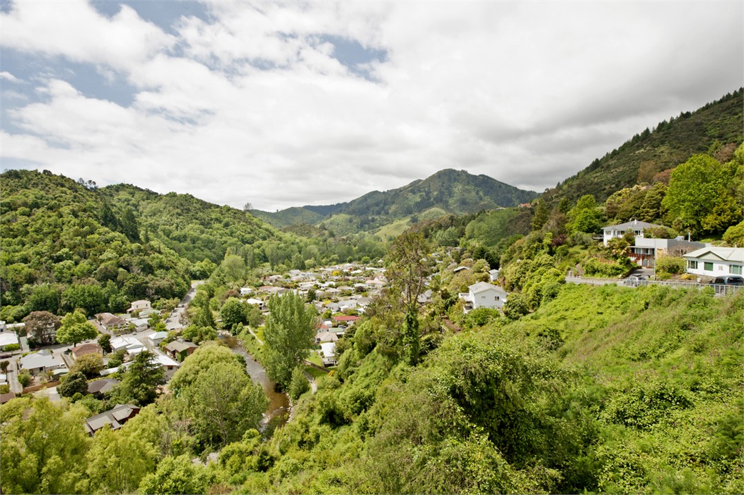 Views on forested hills and the Centre of NZ