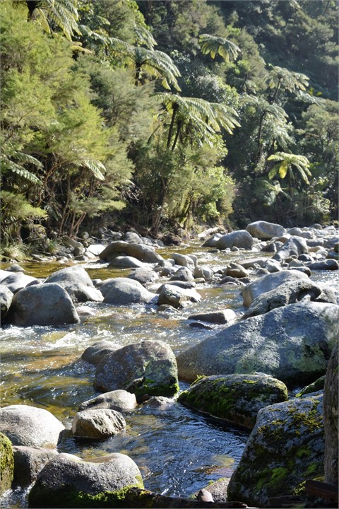 Wainui River, Abel Tasman National Park, 20 Minute