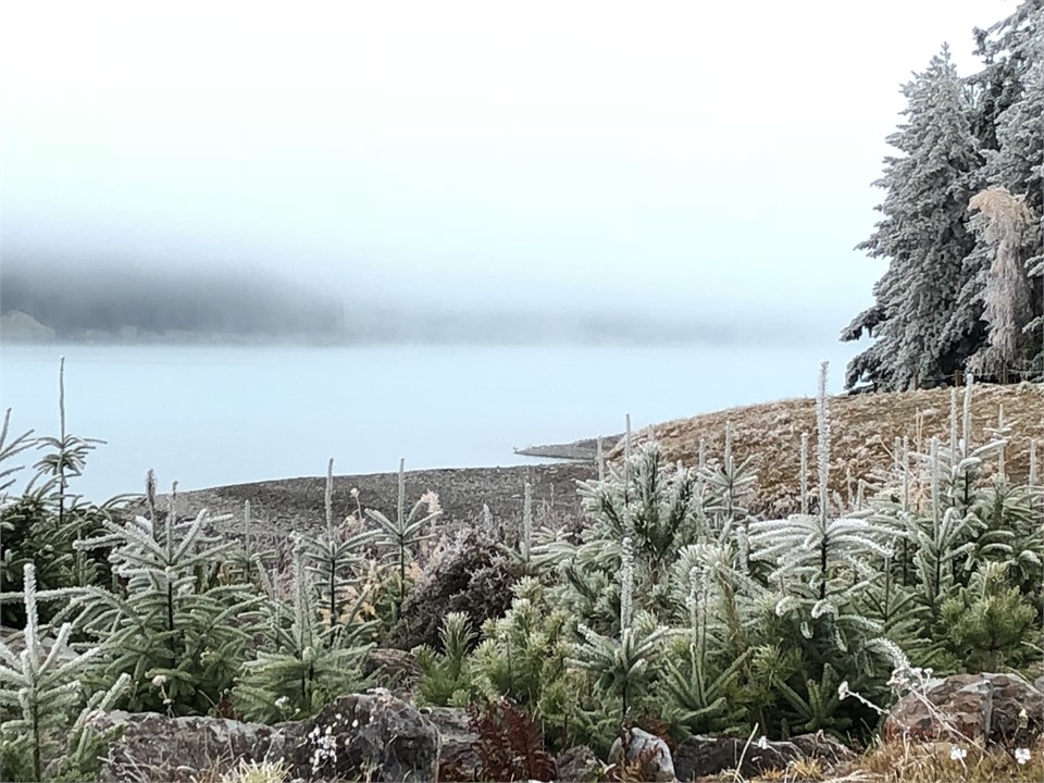 Experience the hoar frost (June - August)