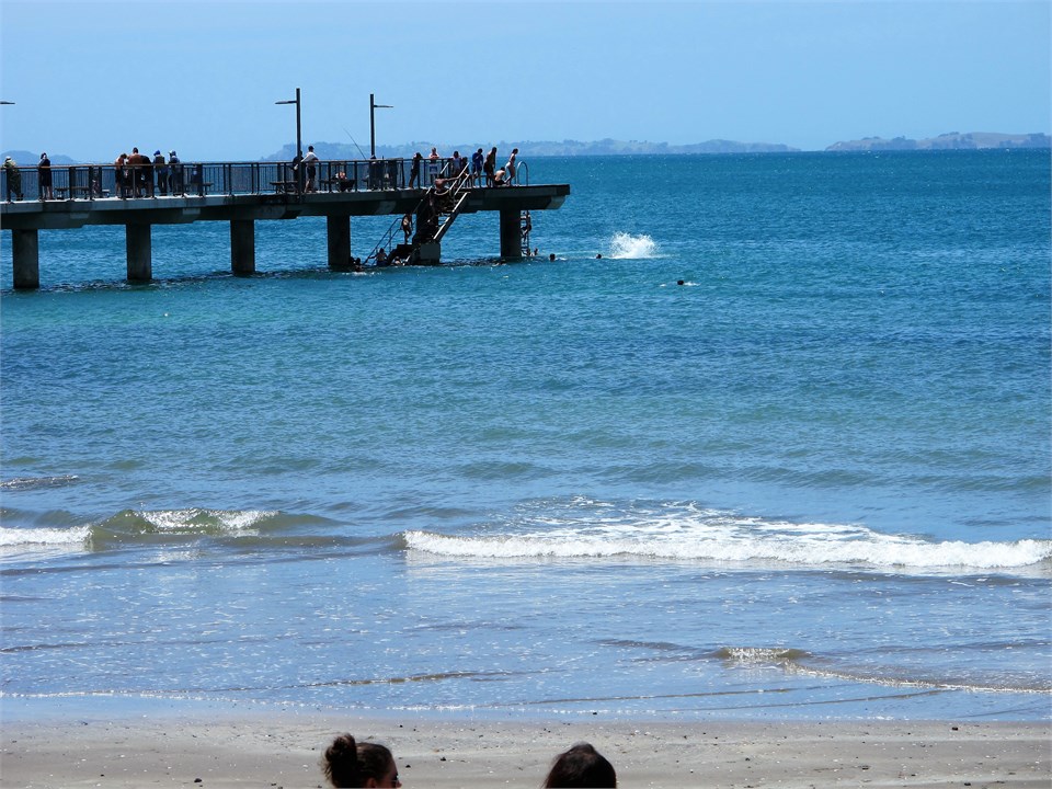 Jump off the wharf with the locals