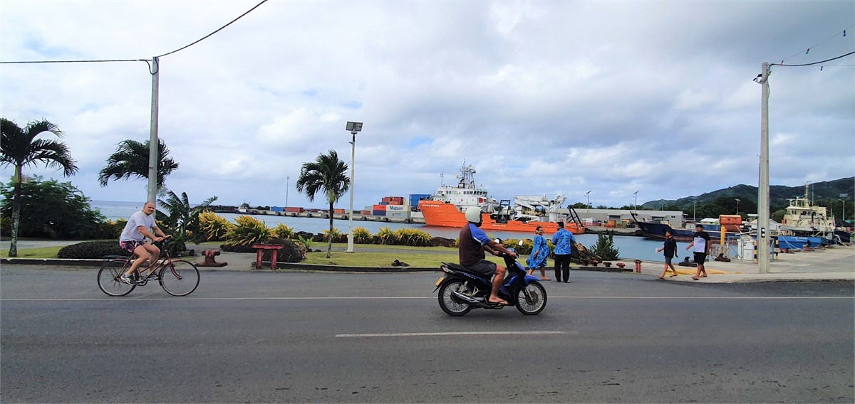 Avatiu Harbor & Palace takeaway within walking dis