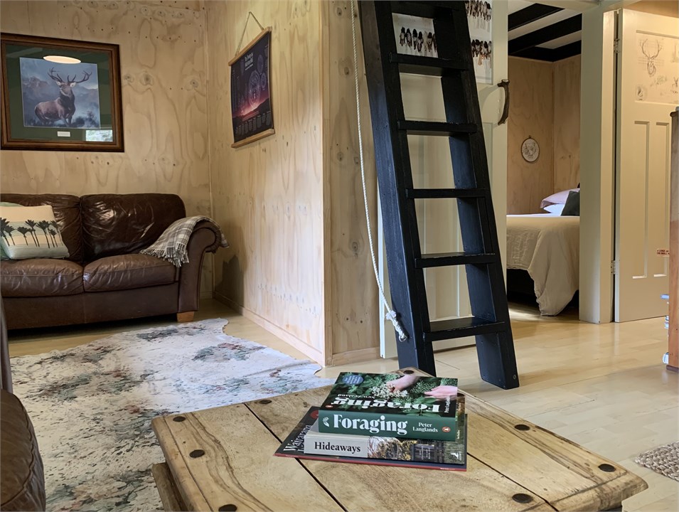 Up the ladder to the loft