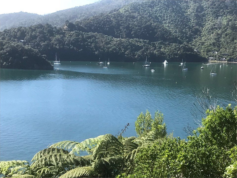 View from Link Walkway.