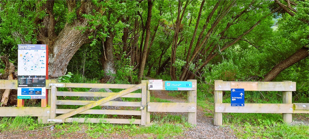 Lucas Lane access to Conical Hill