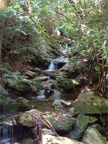 One of many waterfalls in the stream behind the co