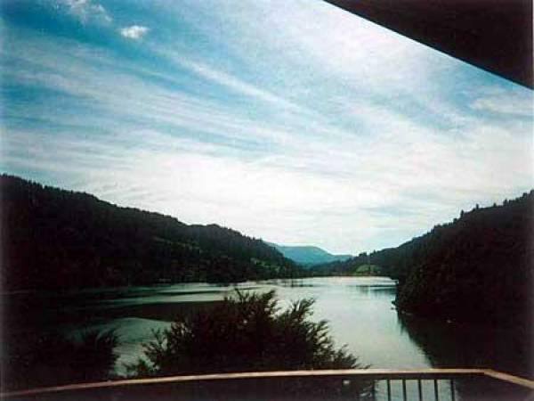 view from your arm chair