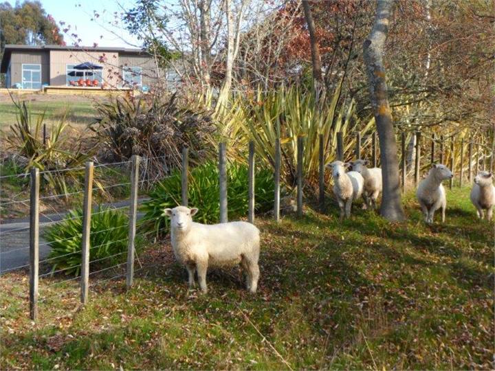 Eco-arty + family-friendly on 7 acres. 4 min Mapua