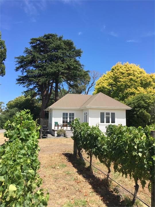 Tuki Vineyard Cottage