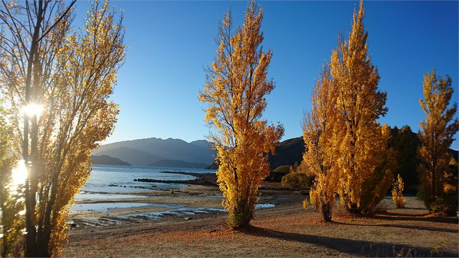 Autumn Colours - Book to see from late March -May