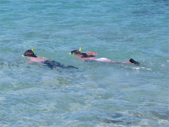 f & f 010 (2015_10_27 20_09_23 UTC)