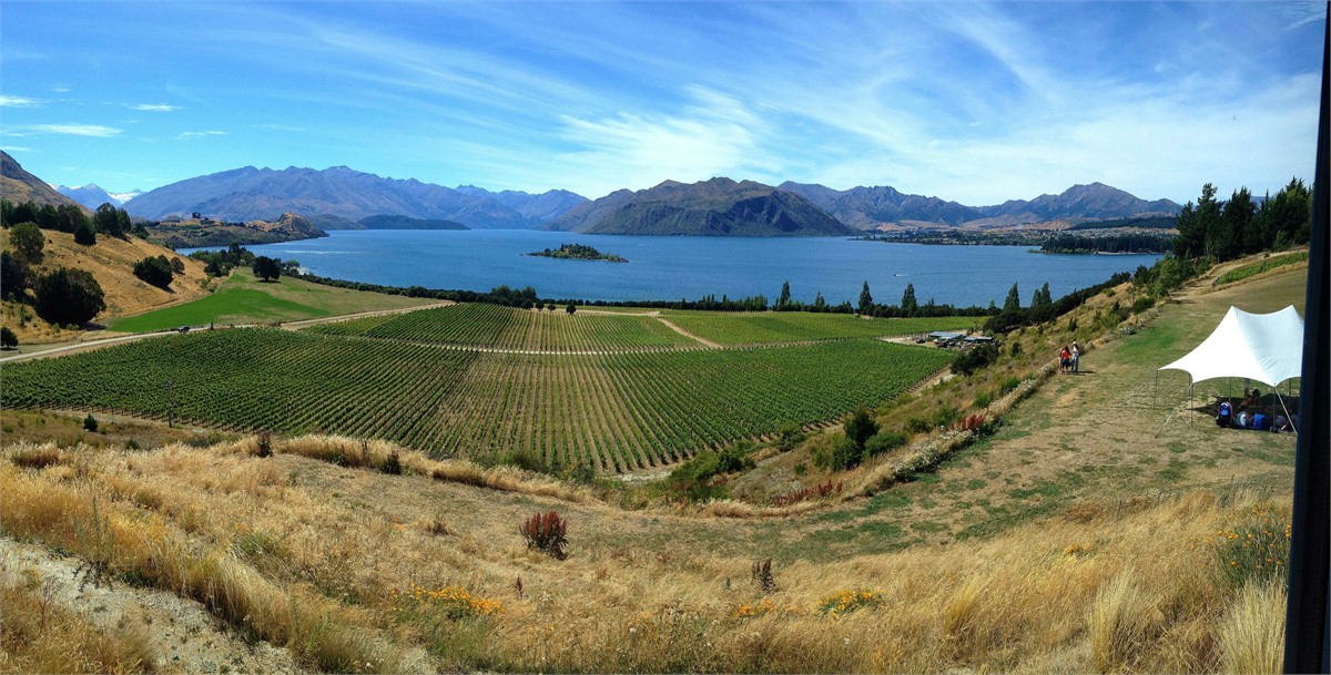 Rippon Vineyard looking over Lake Wanaka