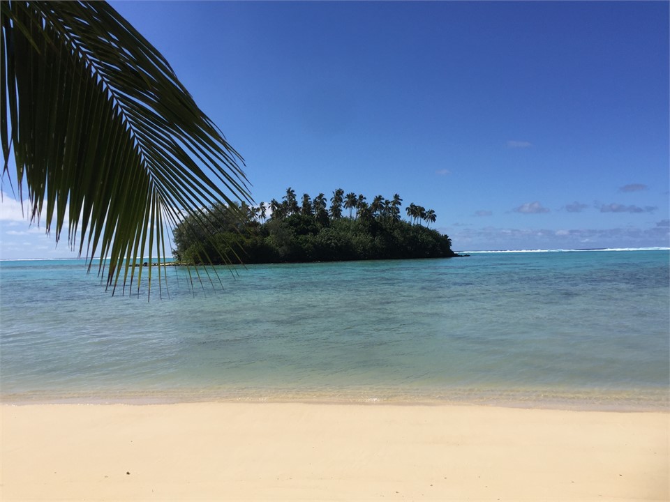 view from the beach off the lawn ! WOW