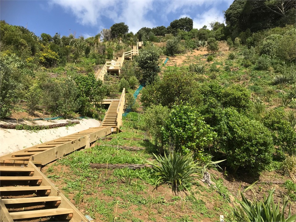 steps to the cove (233)