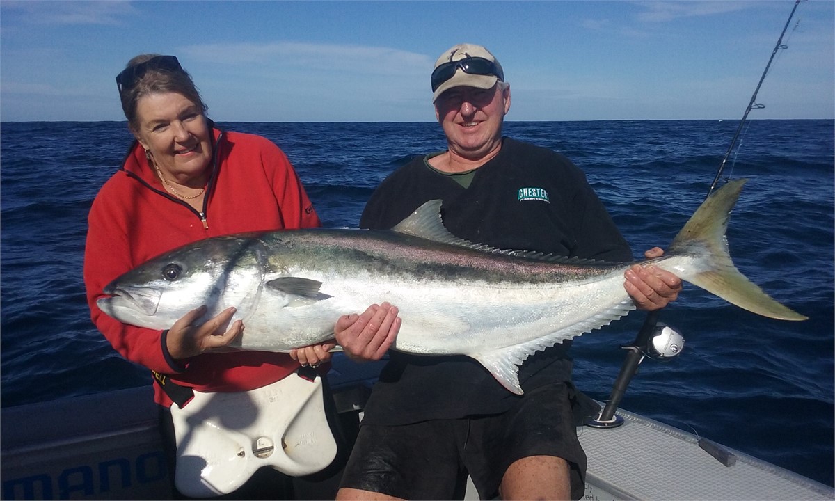 King fish caught out from the lodge