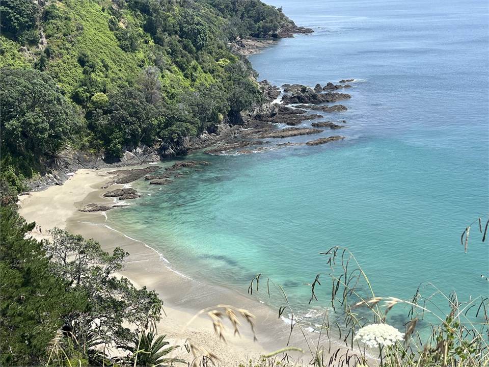 local beach, little palm beach