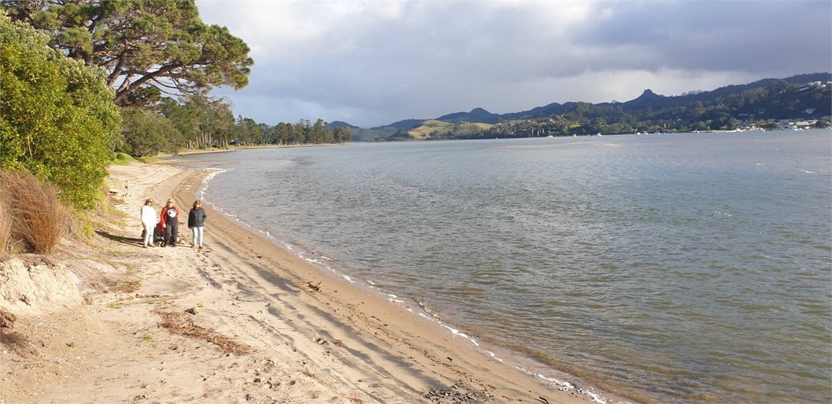 Calm & peaceful estuary
