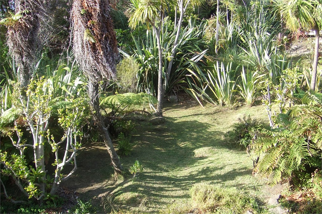 bank at back of house