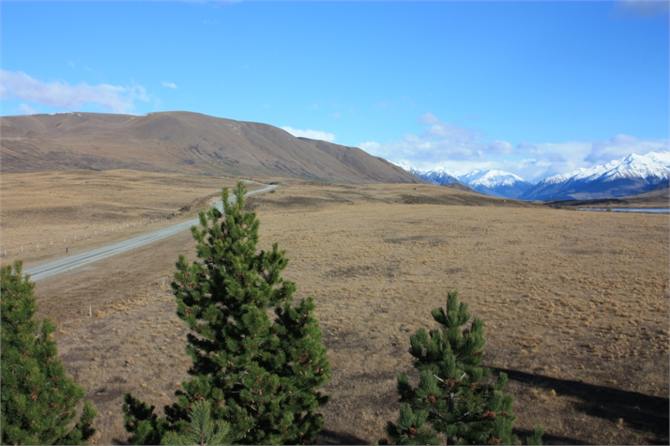 View from cherry picker 2