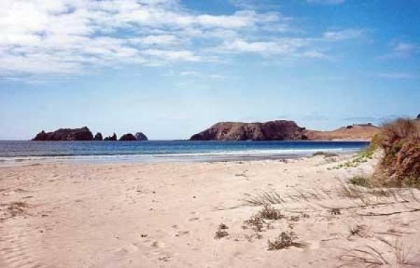 Beach in front of the house