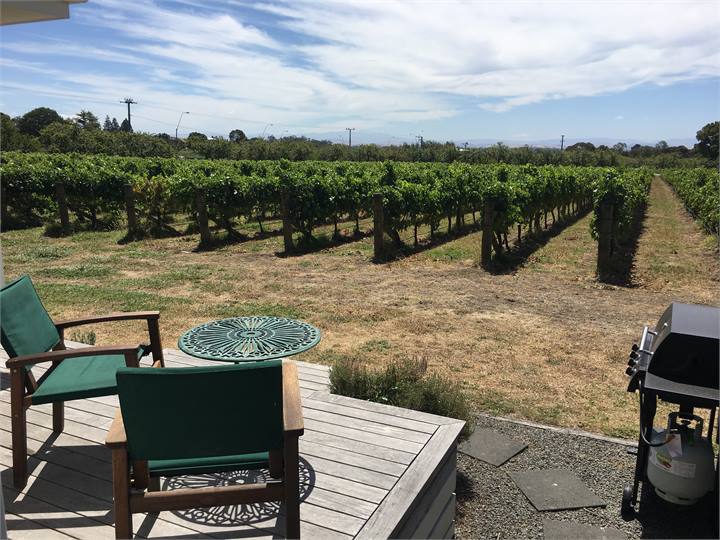 Deck overlooking vineyard