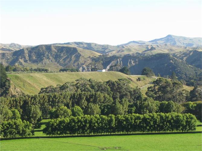 Looking west towards house