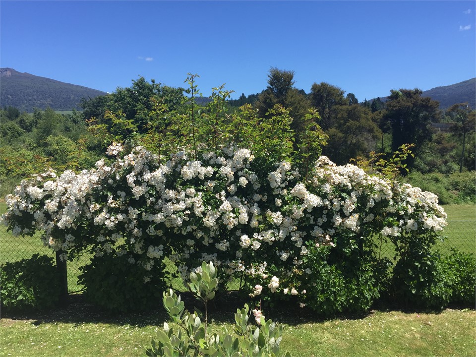 Beautiful rural outlook