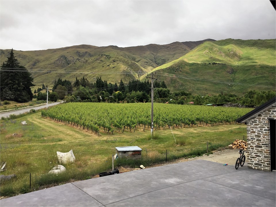 Vineyard view, from queen bedrooms