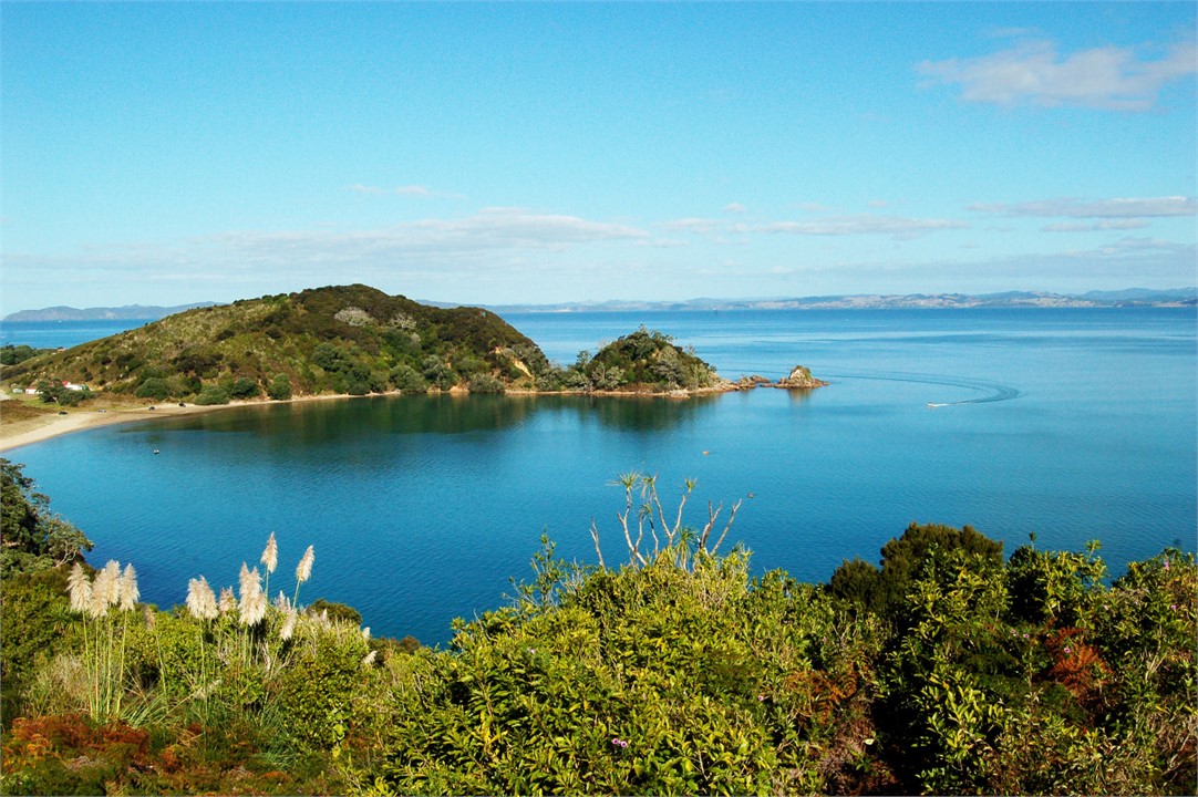 Paitia Point on a summers day