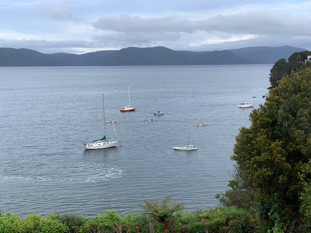 looking out the bunk room window