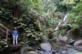 Waiotemarama Falls track