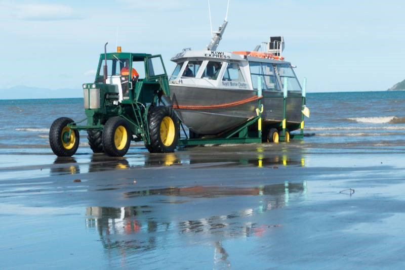 Kapiti Island Ferry Departure across the road