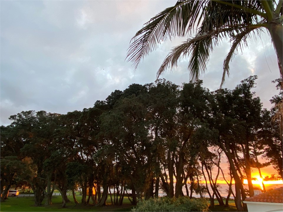 sunrise from deck 7.30am