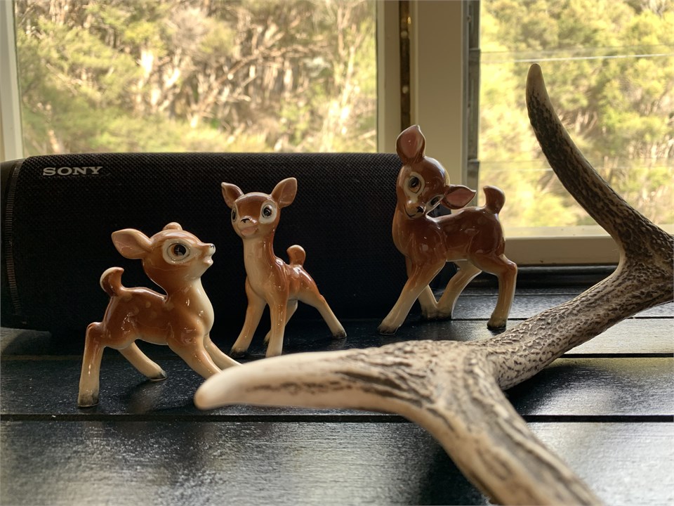 Sony bluetooth speaker