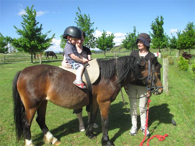 Complimentary Pony ride for Children